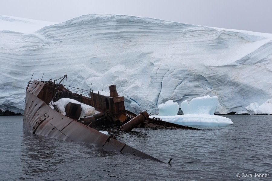 HDS27-24, Day 7, _82A2770 © Sara Jenner - Oceanwide Expeditions.jpg