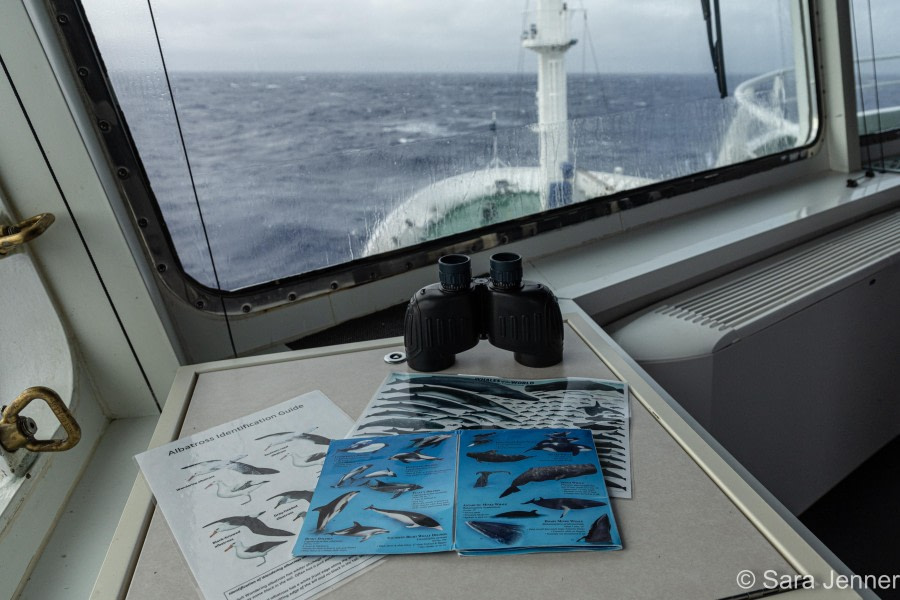 At sea, sailing south across the Drake Passage