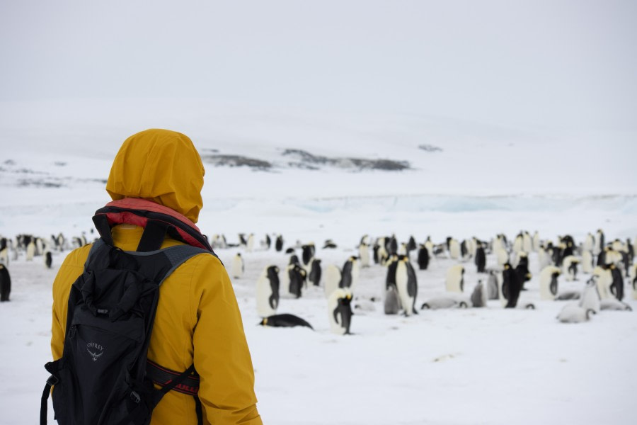 OTL23-23_Day4_Snow-Hill-Island_Antarctica-WeddellSea © Alexandra den Dikken_OEX_IMG_5186.jpeg