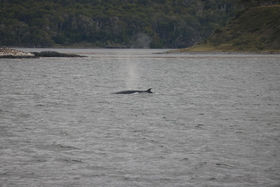 PLA27-24, Day 1, RegisPerdriat (26) @ Regis Perdriat - Oceanwide Expeditions.JPG