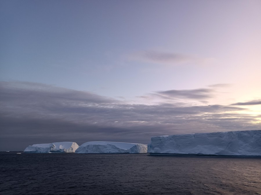 PLA27-24, Day 5, Elke_LindnerIMG20240120224337 @ Elke Lindner - Oceanwide Expeditions.jpg