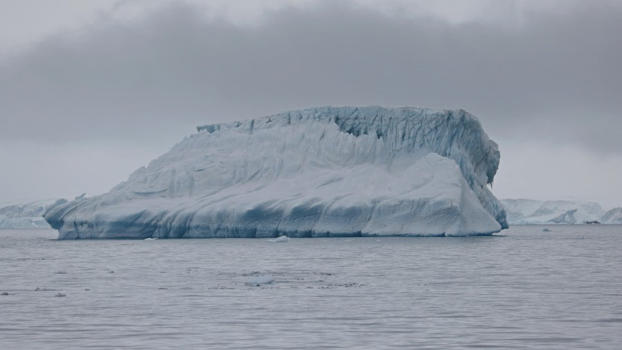 PLA27-24, Day 5, RegisPerdriat (116) @ Regis Perdriat - Oceanwide Expeditions.JPG