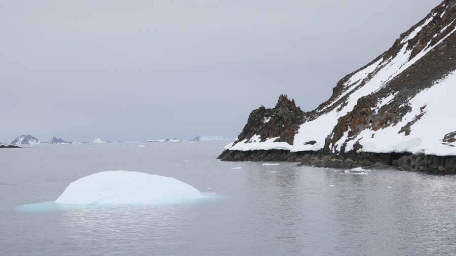 PLA27-24, Day 5, RegisPerdriat (131) @ Regis Perdriat - Oceanwide Expeditions.JPG