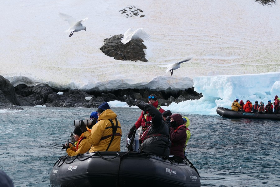 PLA27-24, Day 6, Elke_LindnerP1066394 @ Elke Lindner - Oceanwide Expeditions.JPG