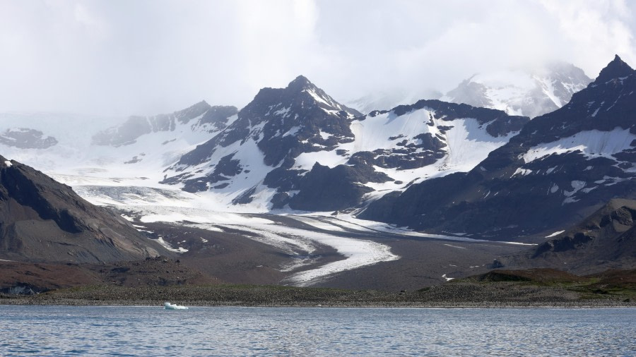 PLA27-24, Day 10, RegisPERDRIAT (213) @ Regis Perdriat - Oceanwide Expeditions.JPG