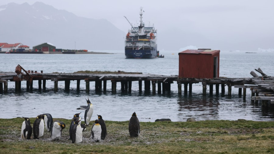 PLA27-24, Day 11, RegisPERDRIAT (241) @ Regis Perdriat - Oceanwide Expeditions.JPG