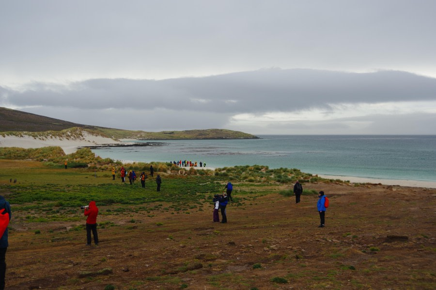 Carcass island, Saunders island