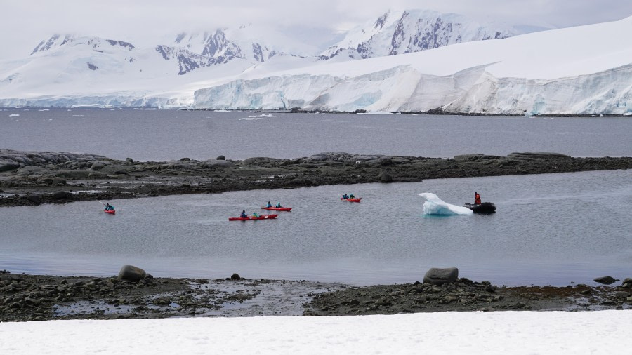 PLA28-24, Day 6, Damoy7_steffililler © Steffi Liller - Oceanwide Expeditions.JPG