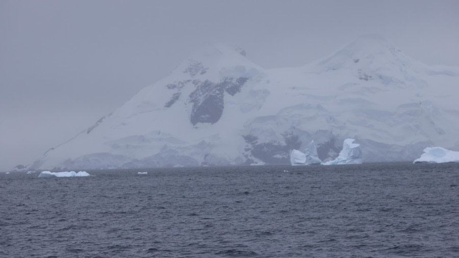 PLA28-24, Day 4, RegisPERDRIat (4) © Regis Perdriat - Oceanwide Expeditions.JPG