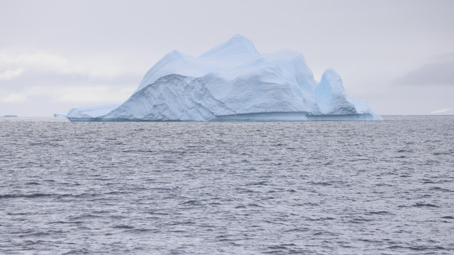 PLA28-24, Day 4, RegisPERDRIat (12) © Regis Perdriat - Oceanwide Expeditions.JPG