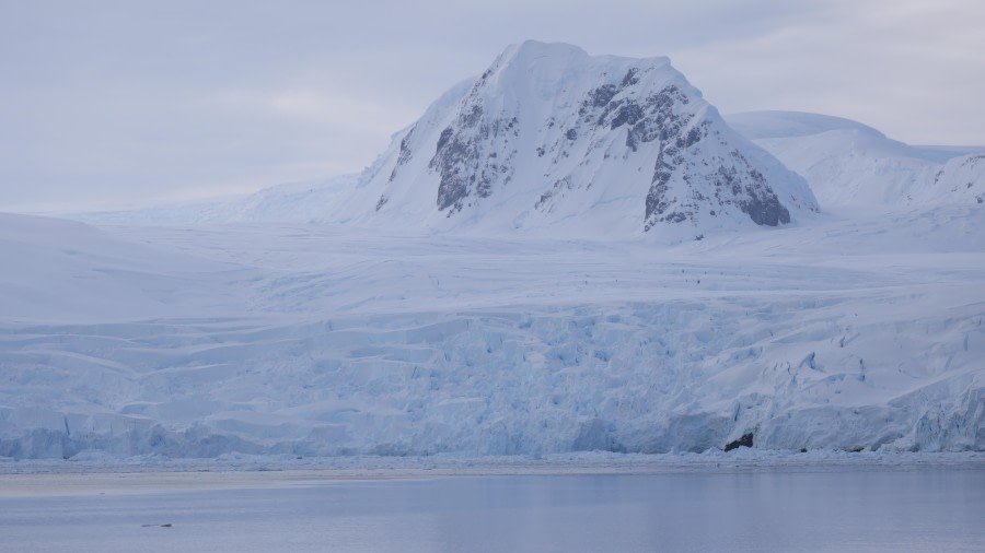 PLA28-24, Day 5, RegisPERDRIAT (5) © Regis Perdriat - Oceanwide Expeditions.JPG