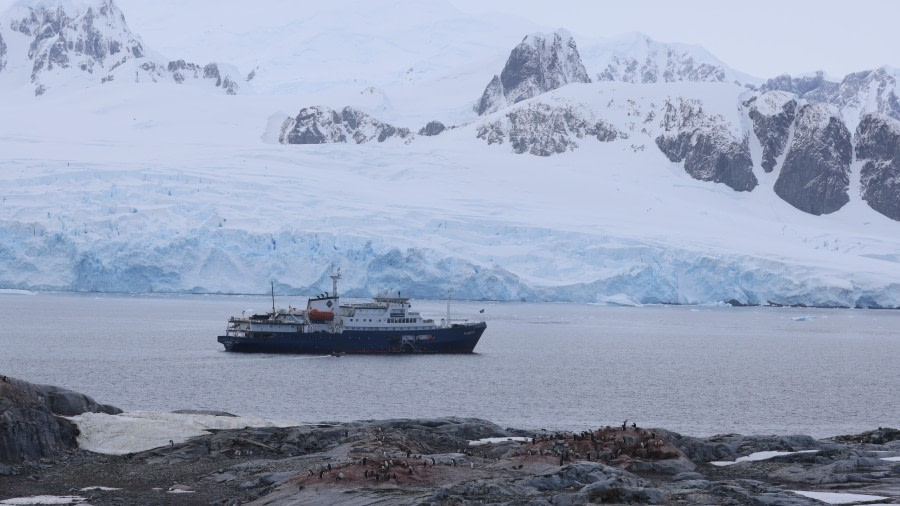 PLA28-24, Day 5, RegisPERDRIAT (7) © Regis Perdriat - Oceanwide Expeditions.JPG