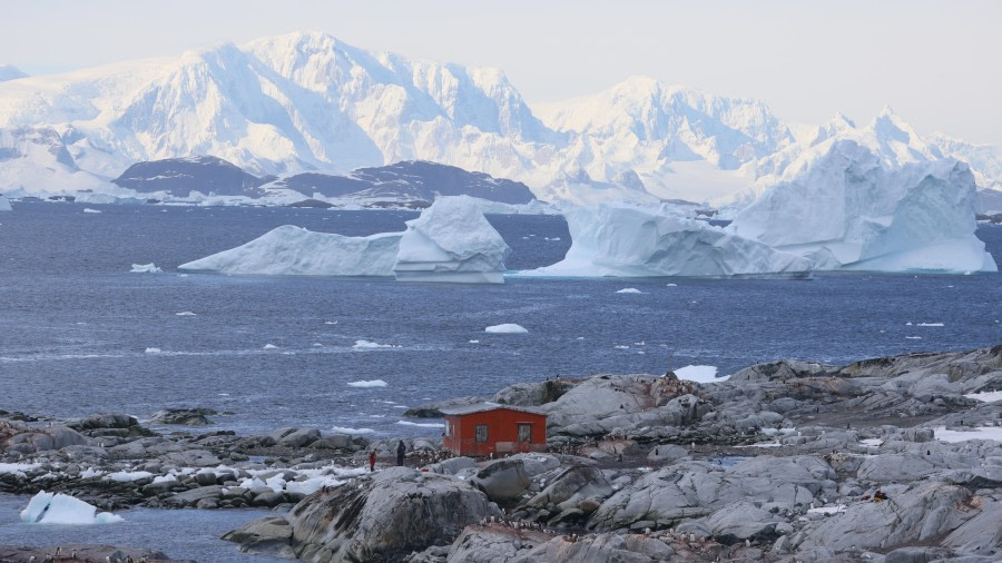 PLA28-24, Day 5, RegisPERDRIAT (9) © Regis Perdriat - Oceanwide Expeditions.JPG