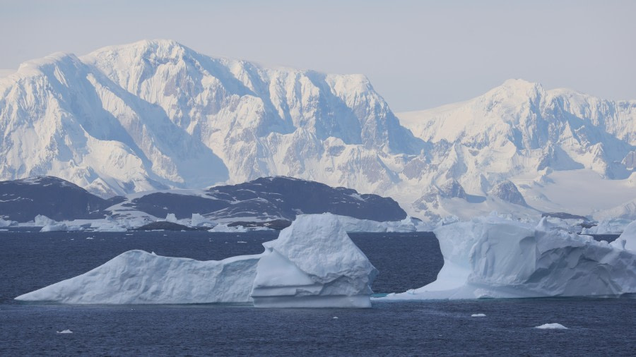 PLA28-24, Day 5, RegisPERDRIAT (17) © Regis Perdriat - Oceanwide Expeditions.JPG