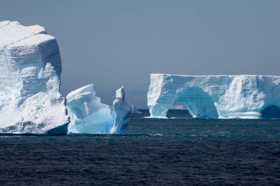 HDS28-24, Day 11, 0R6A5429 © Lars Engelhardt - Oceanwide Expeditions.jpg