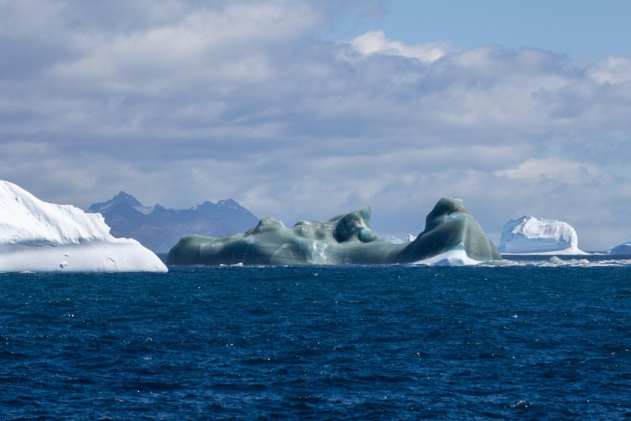 HDS28-24, Day 11, 0R6A5915 © Lars Engelhardt - Oceanwide Expeditions.jpg