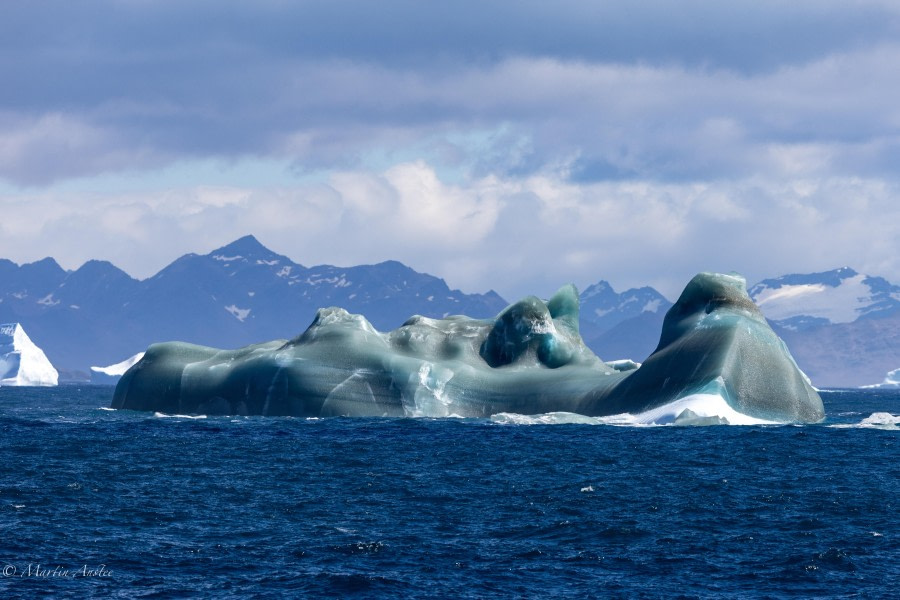 HDS28-24, Day 11, 088A1407 © Martin Anstee - Oceanwide Expeditions.jpg