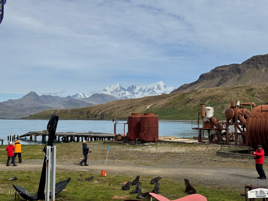 Husvik Harbour and Grytviken, South Georgia