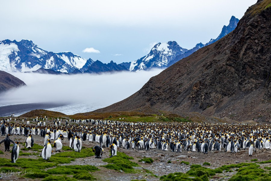 HDS28-24, Day 13, 095A3139 © Martin Anstee - Oceanwide Expeditions.jpg