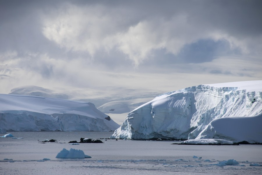 Orne Harbour and Foyn Harbour, Antarctica