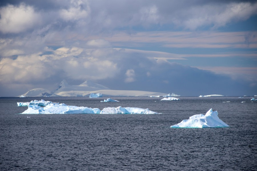 HDS28-24, Day 6, 0R6A3778 © Lars Engelhardt - Oceanwide Expeditions.jpg