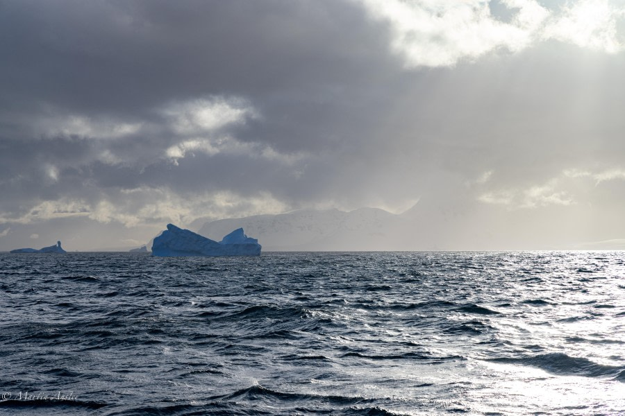 HDS28-24, Day 6, 088A1041 © Martin Anstee - Oceanwide Expeditions.jpg