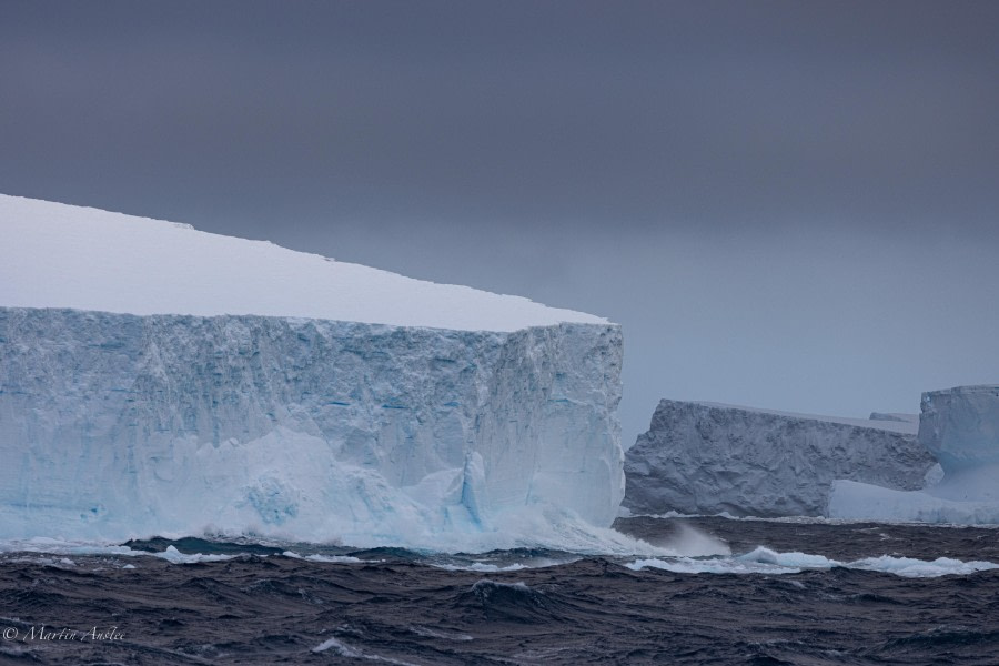 HDS28-24, Day 8, 088A1173 © Martin Anstee - Oceanwide Expeditions.jpg