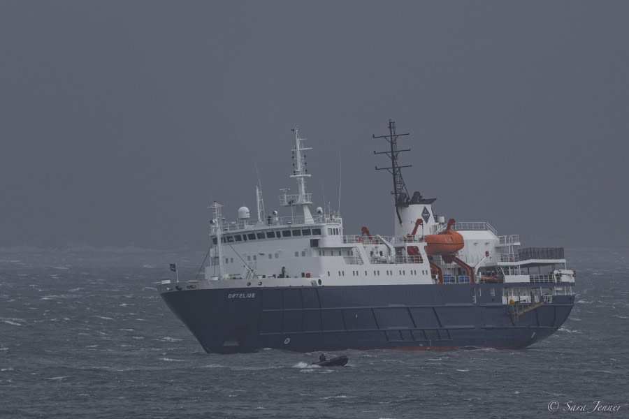 OTL29-24, Day 3, Zodiac operations at Carcass Island @ Sara Jenner - Oceanwide Expeditions.jpg