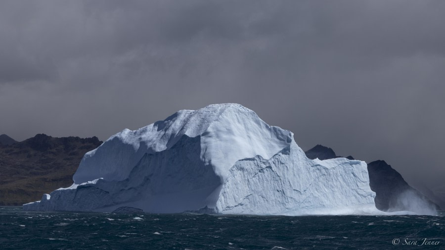 OTL29-24, Day 8, Iceberg 4 @ Sara Jenner - Oceanwide Expeditions.jpg