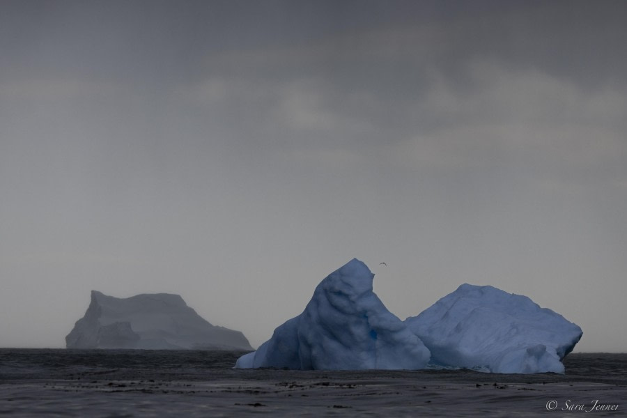 OTL29-24, Day 9, Iceberg 1 @ Sara Jenner - Oceanwide Expeditions.jpg