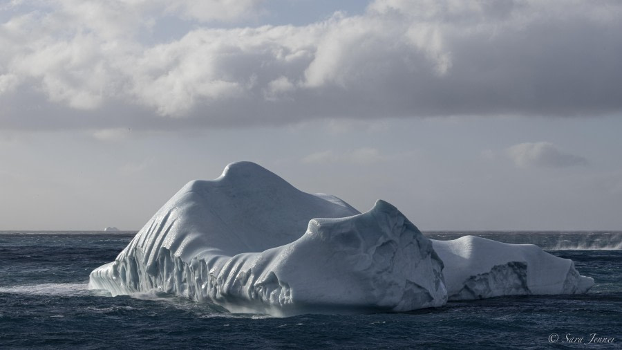 OTL29-24, Day 9, Iceberg 3 @ Sara Jenner - Oceanwide Expeditions.jpg