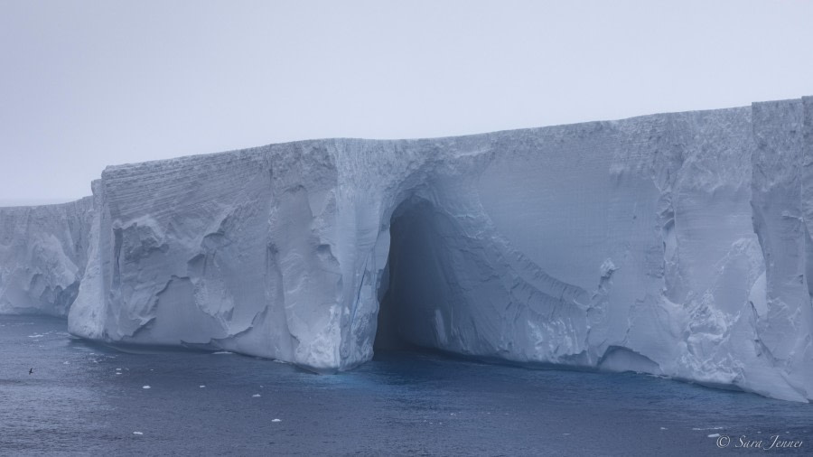 OTL29-24, Day 12, A23a iceberg_ @ Sara Jenner - Oceanwide Expeditions.jpg