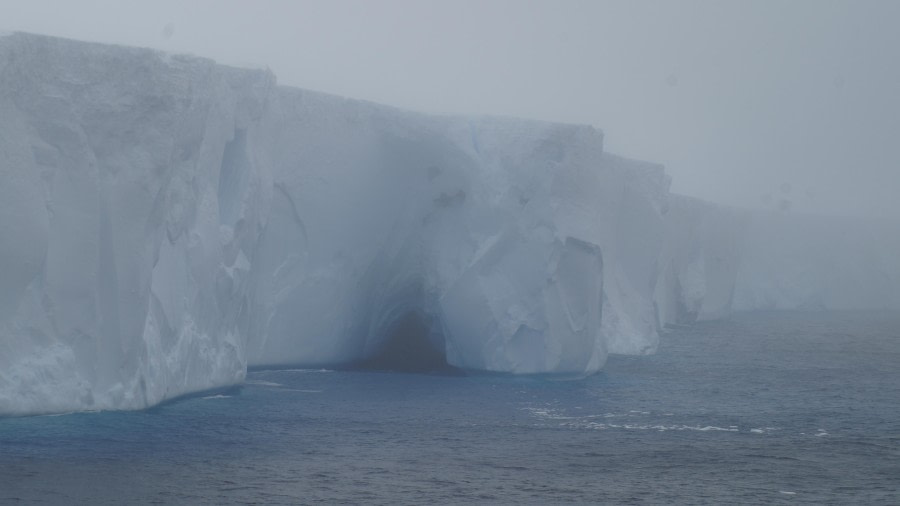 OTL29-24, Day 12, DSC05310 @ Jess Owen - Oceanwide Expeditions.JPG