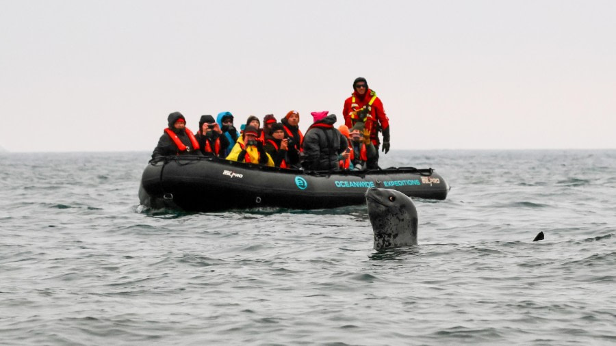 At Sea, Sailing towards Antarctica