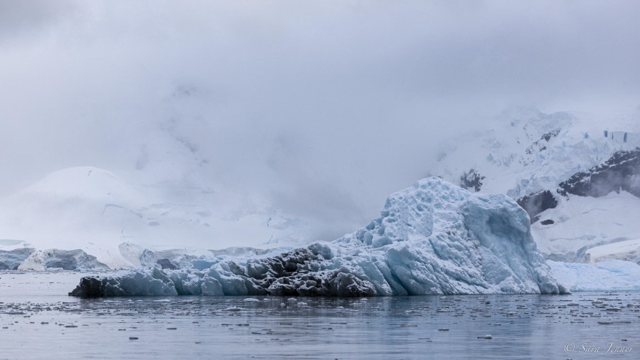 OTL29-24, Day 16, Brown station cruise @ Sara Jenner - Oceanwide Expeditions.jpg