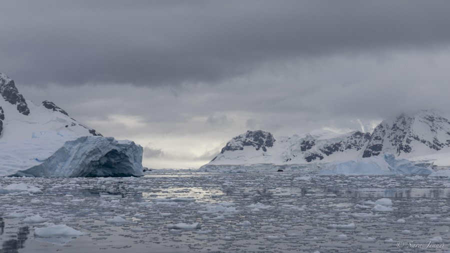 OTL29-24, Day 16, Brown station cruise 5 @ Sara Jenner - Oceanwide Expeditions.jpg