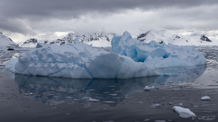 OTL29-24, Day 16, Brown station cruise 7 @ Sara Jenner - Oceanwide Expeditions.jpg