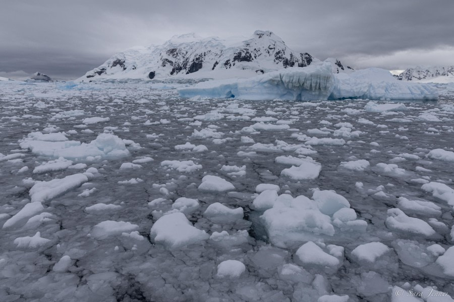 OTL29-24, Day 16, Brown station cruise 8 @ Sara Jenner - Oceanwide Expeditions.jpg