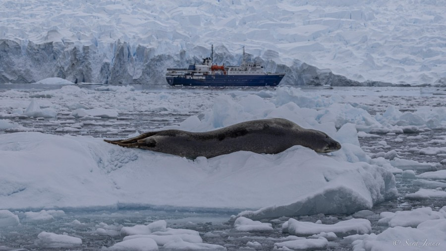 OTL29-24, Day 16, Brown station cruise 12 @ Sara Jenner - Oceanwide Expeditions.jpg