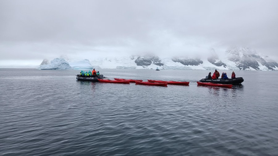 PLA29-24, Day 6, elke_lindner_IMG20240218094953 @ Elke Lindner - Oceanwide Expeditions.jpg