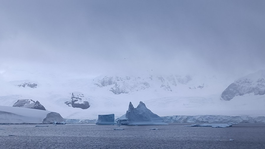 PLA29-24, Day 7, elke_lindner_IMG20240219072715 @ Elke Lindner - Oceanwide Expeditions.jpg