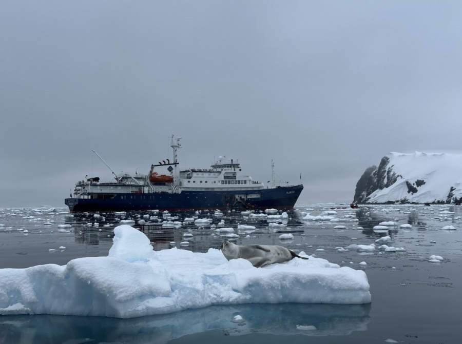 PLA29-24, Day 8, 15 185208 @ Unknown photographer - Oceanwide Expeditions.png