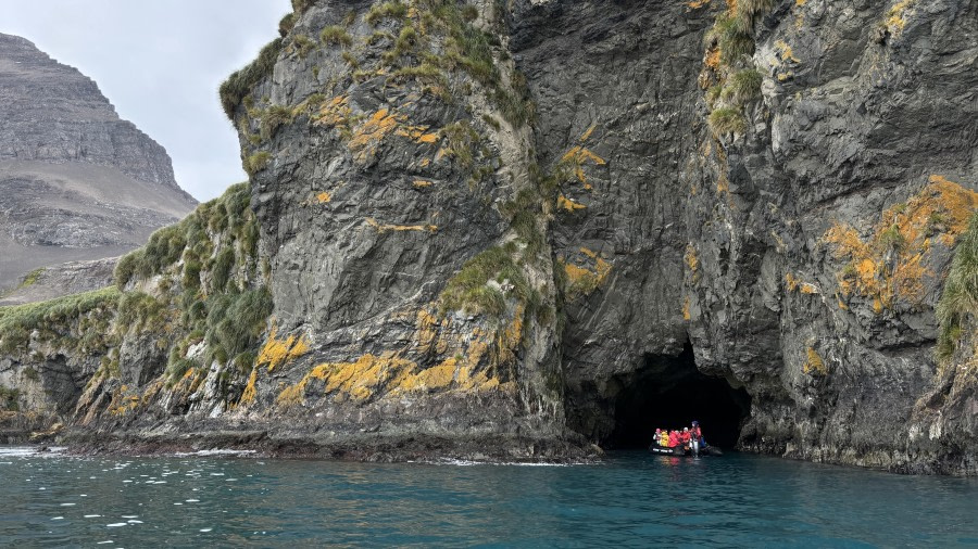 HDS29-24, Day 14, Cape Rosa & Haarkon Bay_2619_© Ursula Tscherter - Oceanwide Expeditions.jpg