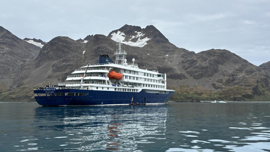 HDS29-24, Day 16, Fortuna Bay_2886_© Ursula Tscherter - Oceanwide Expeditions.jpg