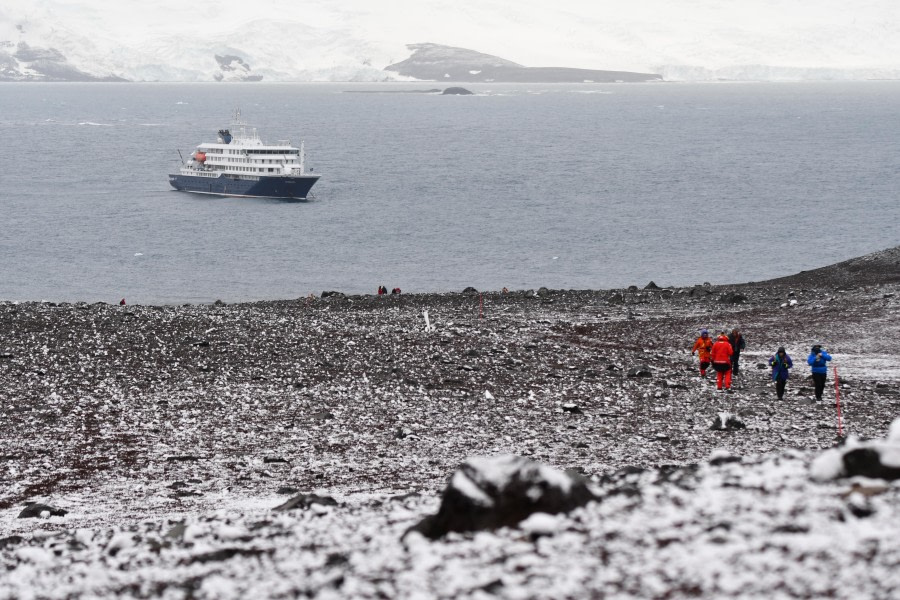 Penguin Island, South Shetland Islands