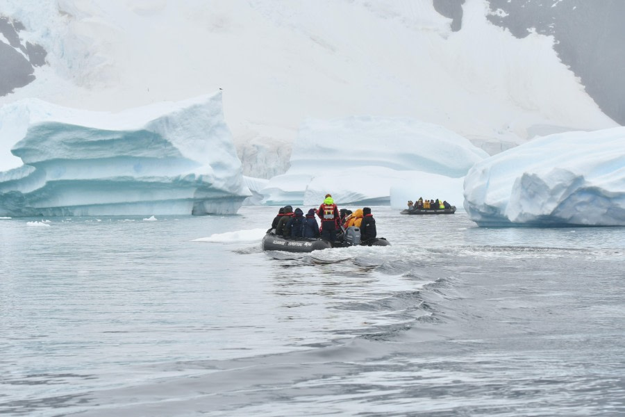 Pleneau Island & Port Charcot