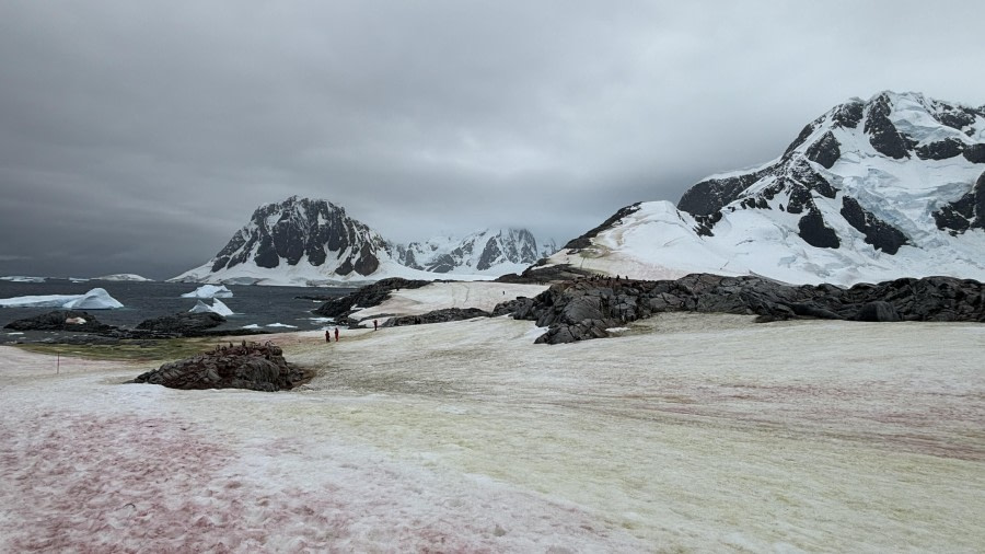 HDS29-24, Day 7, Point Charcot_1904_© Ursula Tscherter - Oceanwide Expeditions.JPG