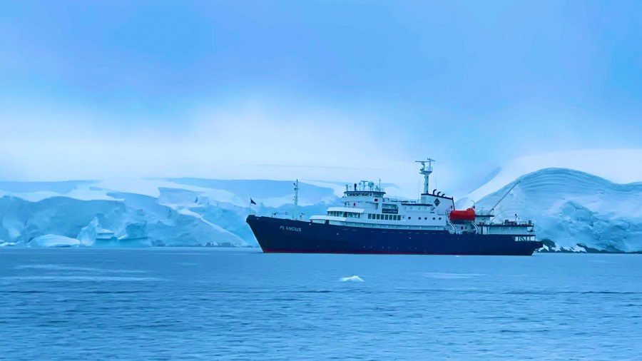 Melchior Islands and Damoy Point