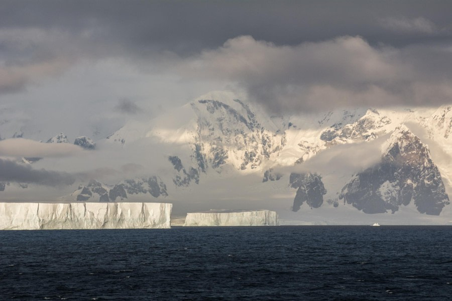 PLA30-24, Day 5, DSC_2336 @ Unknown photographer - Oceanwide Expeditions.jpg