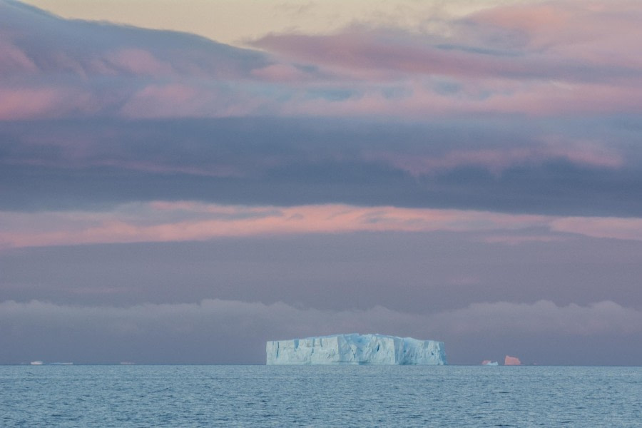 PLA30-24, Day 5, DSC_2360 @ Unknown photographer - Oceanwide Expeditions.jpg